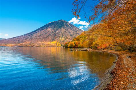 Tokyo 【nikko Bus 2 Day Tour】world Heritage Toshogu Shrine And Nikko