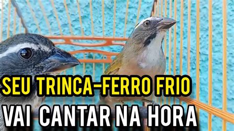 Abra O Canto Do Seu Trinca Ferro Esse Esquentar Trinca Ferro Frio