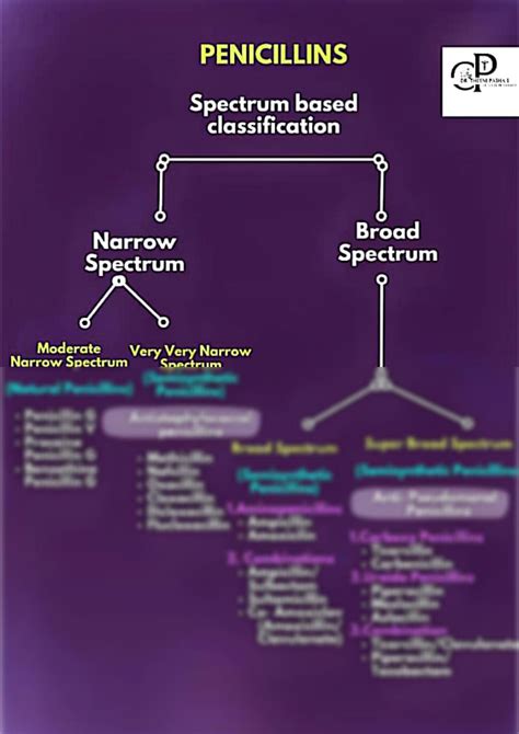 SOLUTION Antibiotics Classification Studypool