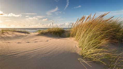 Beach Dunes Wallpaper