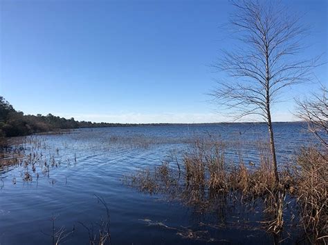 Lake Waccamaw State Park (11 Things We Love About It!)