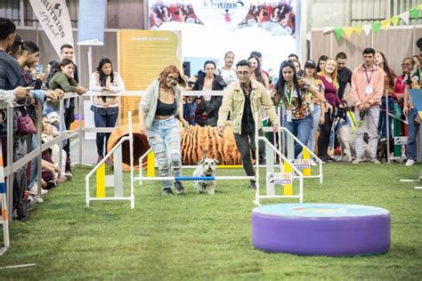 Corferias Abre Las Puertas De La Felicidad Para Las Mascotas