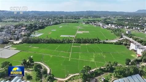 在希望的田野上丨科技助力“三夏”开启“加速度” 今年粮食丰收有保障