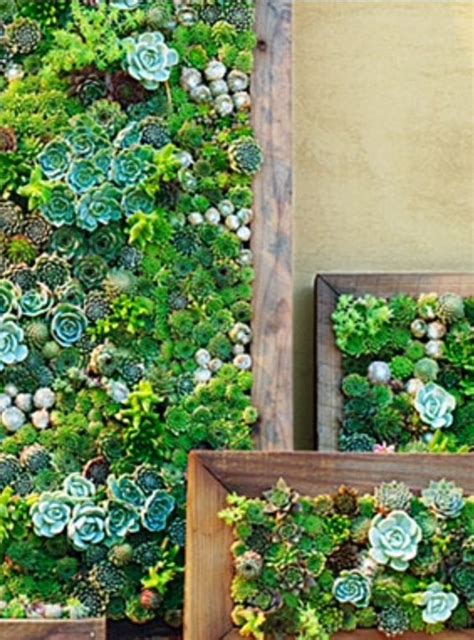 Make This Easy Diy Succulent Wall Planters Walled Garden Parete Di