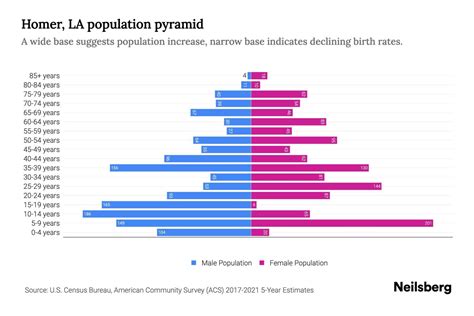 Homer, LA Population by Age - 2023 Homer, LA Age Demographics | Neilsberg