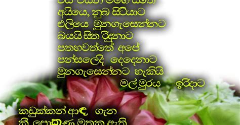 සිතිවිලි කොලපත මල්මුරය දා මුන ගැසෙමු