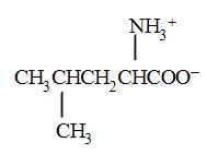 Draw The Zwitterion Structure For The Amino Acid Leucine Quizlet