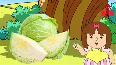 Mengenal Sayur Kol Puri Animation Youtube