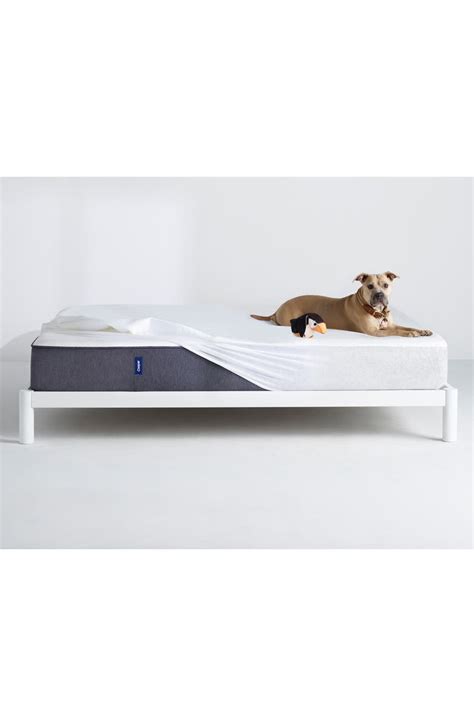 Casper The Mattress Protector | Nordstrom