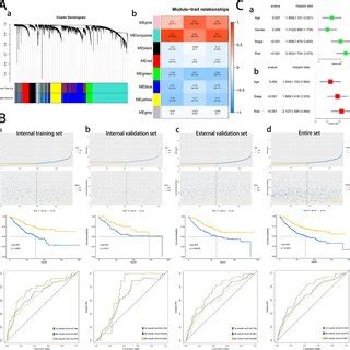 Wgcna And Construction And Validation Of The Prognostic Signature A