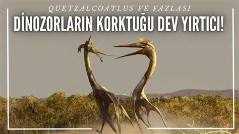 Yaşamış en büyük uçan canlı Quetzalcoatlus nasıl bir hayvandı YouTube