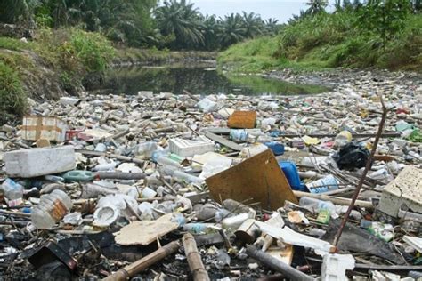 Newspaper Water Pollution In Malaysia