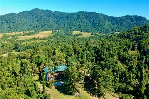 Treehouse Gallery Jackaroo Treehouse Rainforest Retreat