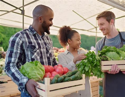 Understanding Key Concepts And Implications Of Food Equity