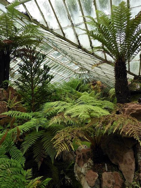 Ascog Fernery - Ayrshire and Arran