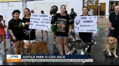 Jpb Tutores De Animais Se Re Nem Na Orla De Jp Para Pedir Justi A