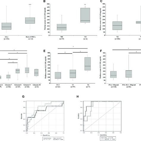 Association Of Serum Alcam Expression With Patient Clinical Download Scientific Diagram