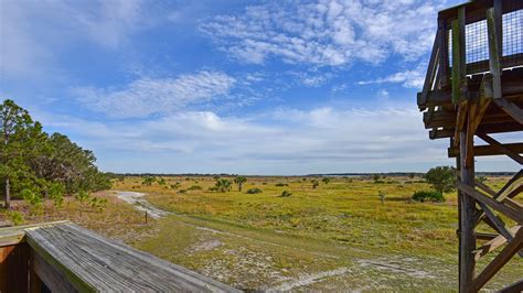 Lake Kissimmee State Park – Florida Hikes