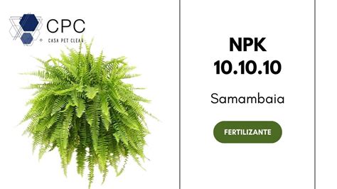 Adubo Fertilizante NPK 10 10 10 Para Samambaia Plantas Samambaias