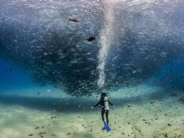 20 mais incríveis fotos da natureza tiradas em 2015