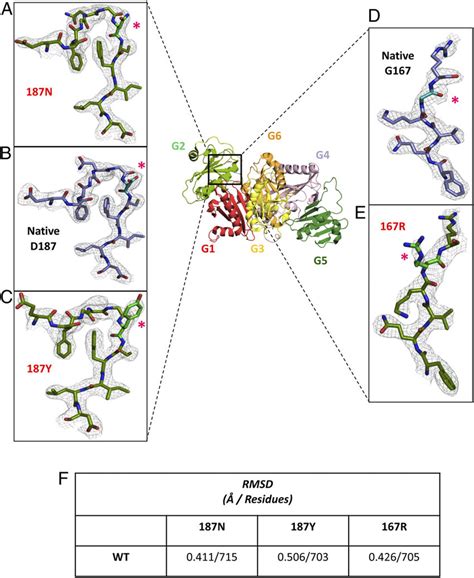 Schematic Representation Of The Structure Of Full Length Gelsolin