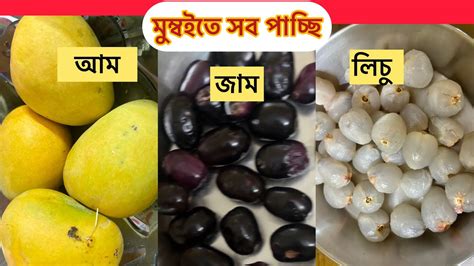 mumbite sb pacchi  jam licu youtube