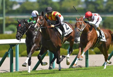 【pog】1億7000万円の良血アルジャンナ快勝競馬・レースデイリースポーツ Online