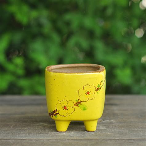 Buy Ceramic Flower Pots Online | Indoor and Outdoor Planters