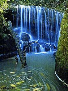 gif wallpapers gifs tenor