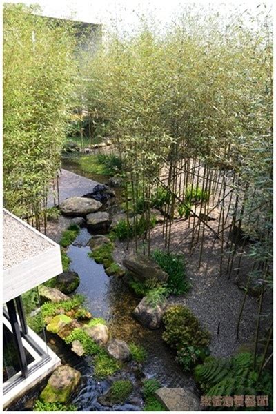 A Small Stream Running Through A Lush Green Forest