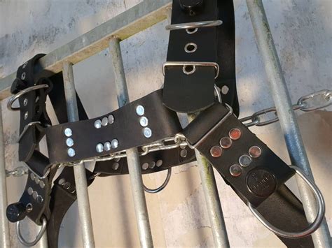 Segufix Leather Chest Harness For Bdsm Bondage And Abdl Etsy