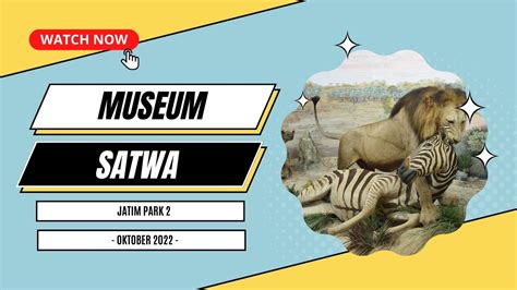 Museum Satwa Jatim Park Oktober Batu Jawa Timur Youtube