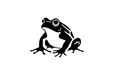 premium vector american toad icon