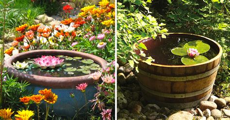 Petits Tangs Originaux En Pots Pour Un Jardin De Contes De F Es