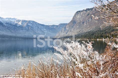 Winter Lake Bohinj Stock Photo | Royalty-Free | FreeImages