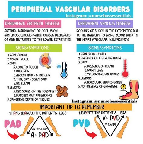 Peripheral Vascular Disorders Medizzy