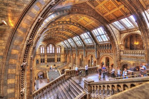 7 Secrets Of The Natural History Museum | Londonist