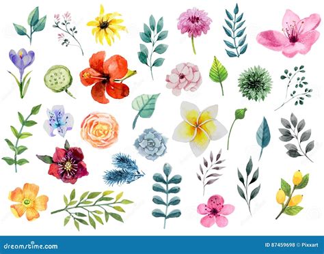 Watercolor Floral Elements Set Flowers And Leafs Stock Vector