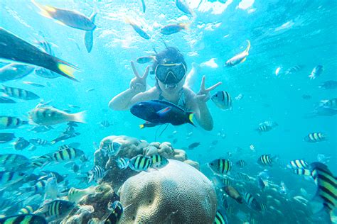 Open Trip Pulau Pari 2D 1N By SeanesiaTrip Harga Tiket Promo Up To 7