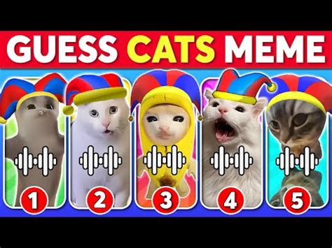 GUESS CATS MEME The Amazing Digital Circus Chipi Chipi Chapa Chapa