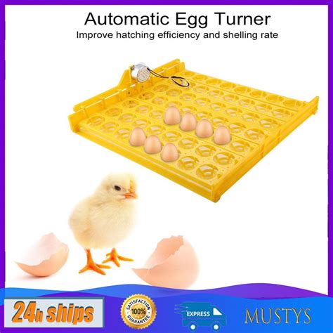 Automatic 220V 56 Egg Poultry Chicken Duck Incubator Chicken Duck Quail