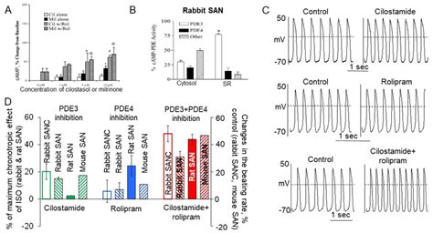 Dual Pde3 Pde4 Inhibition Increases Spontaneous Beating Rate Of