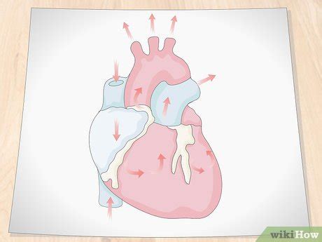 How To Draw A Real Heart