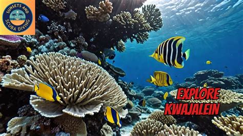 2 Amazing Species Youll Meet On A Kwajalein Lagoon Dive Youtube