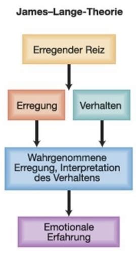 Allgemeine Psychologie II Emotionen Karteikarten Quizlet