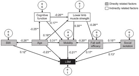 Interconnectedness Of The Factors Associated With The Lsa Scores Of Download Scientific Diagram