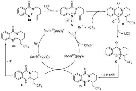 Scheme 8 Proposed Reaction Mechanism Scheme 8 Proposed Reaction