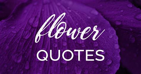 110 Short Flower Quotes To Inspire Your Love Of Beauty Louisem