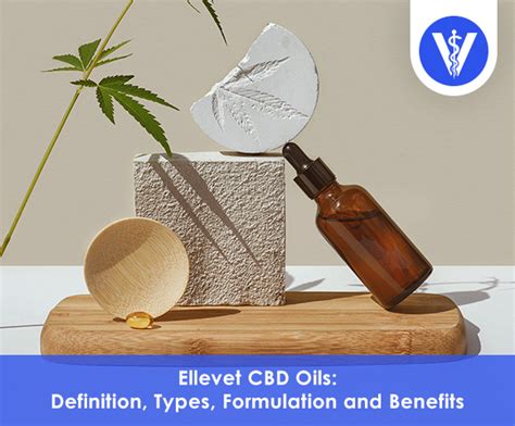 ElleVet CBD Oils: Definition, Types, Formulation and Benefits - One Vet