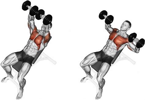 Incline Dumbbell Press Workouts 4 Triceps, Shoulder, Chest